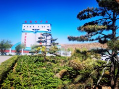绿色矿山